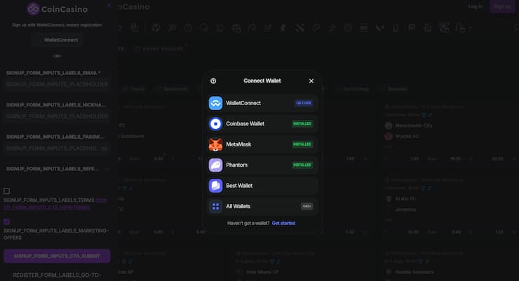 An image of the sign-up screen at CoinCasino, a top option among ETH gambling sites.